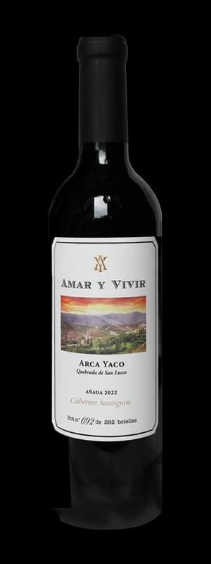 Amar y Vivir Cabernet Sauvignon — Cabernet Sauvignon