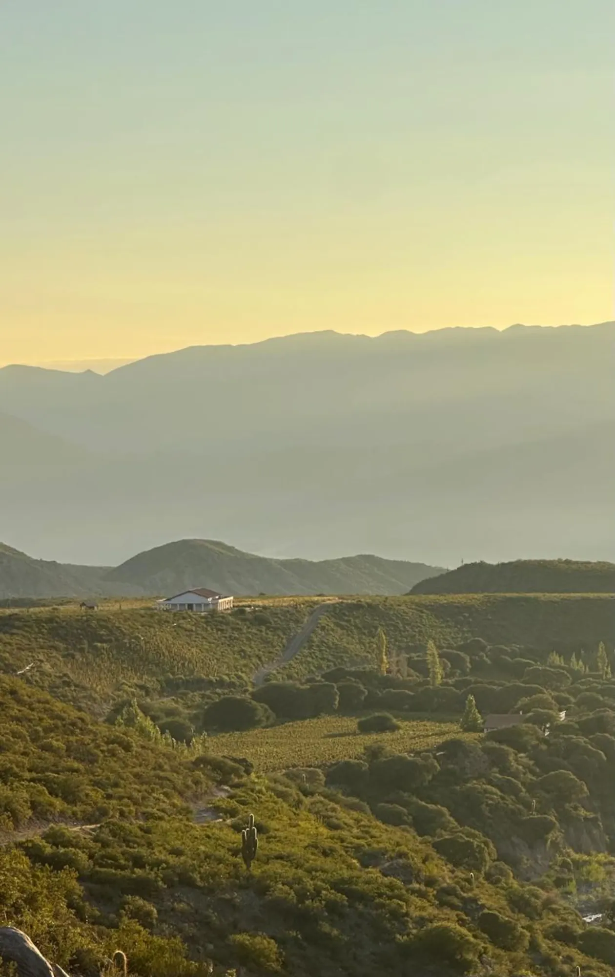 Golden hour over the valley with the bodega nestled among mountains