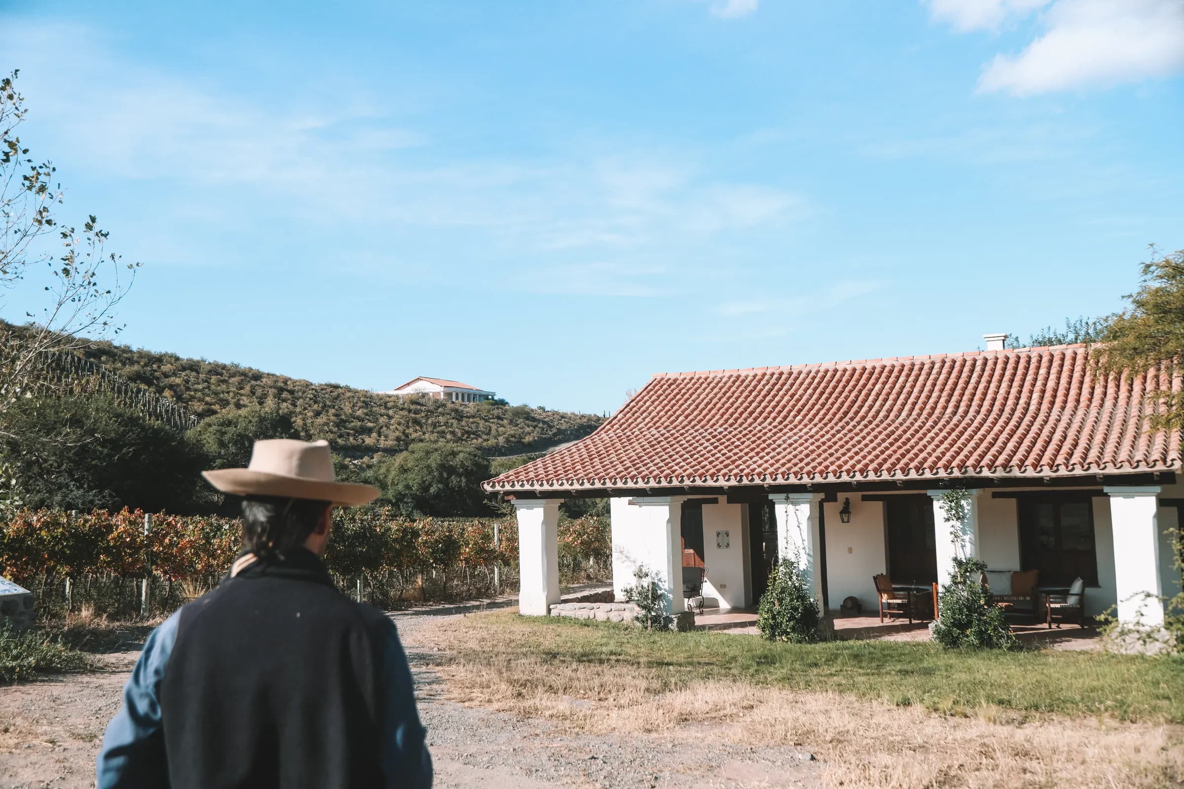Arca Yaco winery cottage among the vineyards